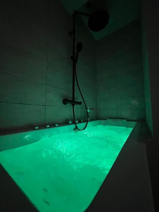 Escapade Sereine - Balneo A Appartement Laval (Mayenne)